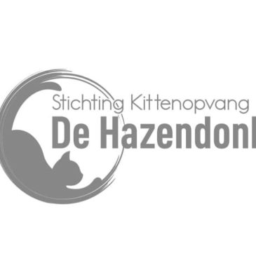 Stichting Kitten Opvang De Hazendonk: Lancering van onze Nieuwe Website en een Nieuwe Fase in Onze Missie