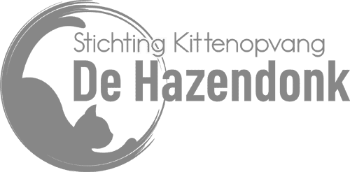 kittenopvang hazendonk