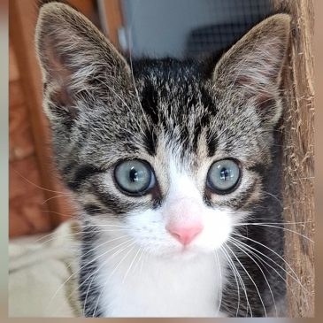 Ik heb een fijn plekje gevonden!