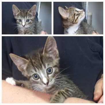 Samen met mijn zusje een goed huis gekregen