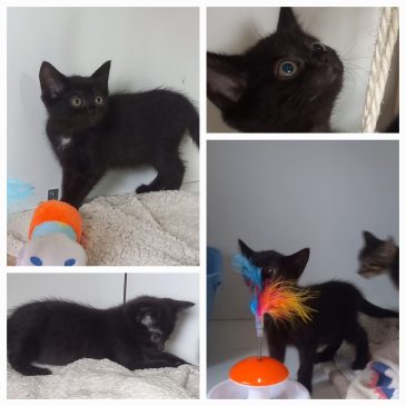 Samen met mijn zusje een goed huis gekregen