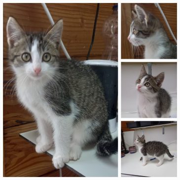 Ik heb een fijn huis gevonden!